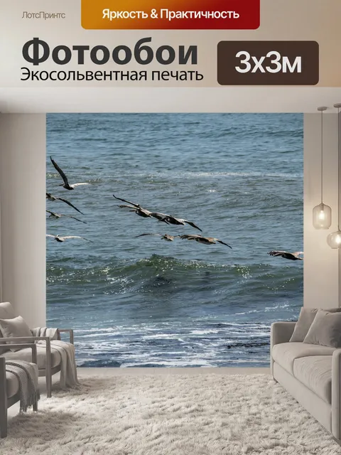 Фотообои Пеликан