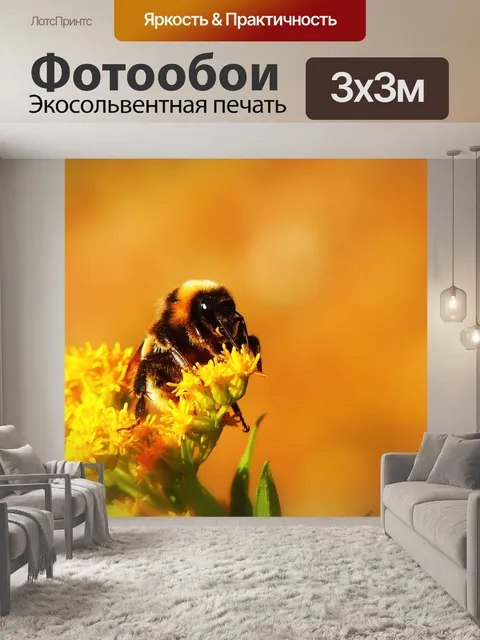 Фотообои Шмель газ