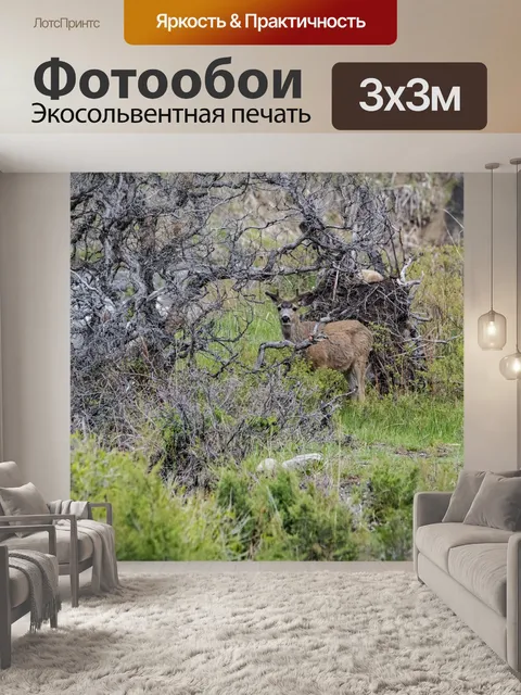 Фотообои олень