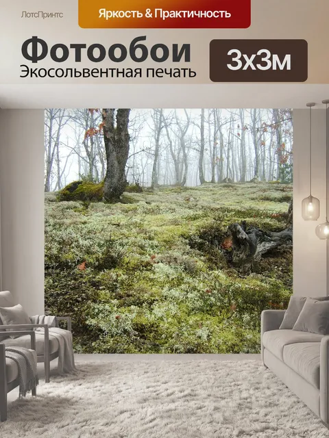 Фотообои Дубовый лес