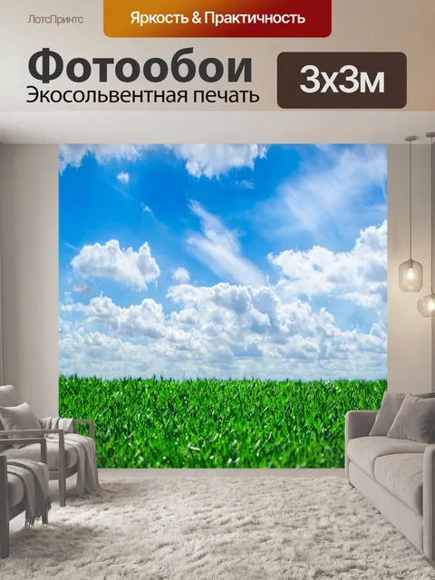 Фотообои Трава и небо