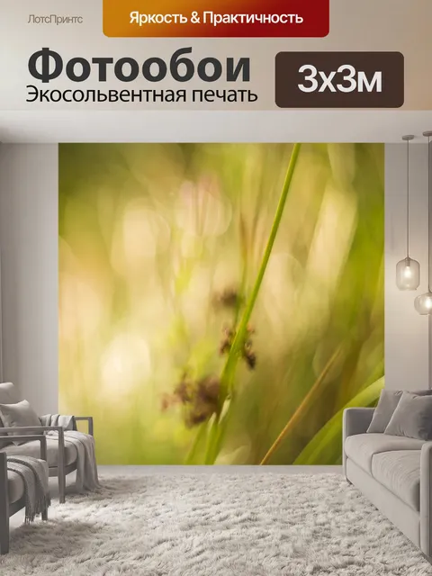 Фотообои Трава