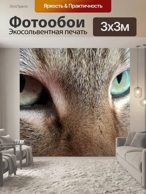 Фотообои Кот