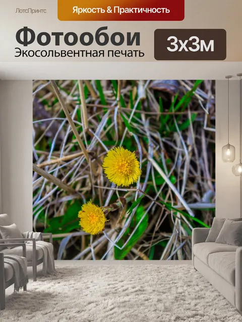 Фотообои Цветы