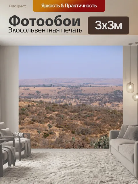 Фотообои сухой ландшафт с электрическими столбами
