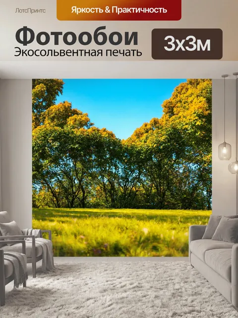 Фотообои пейзаж в стиле модернизм, интересная перспектива, обрамляющие деревья, удивительный горизонт, световые акценты