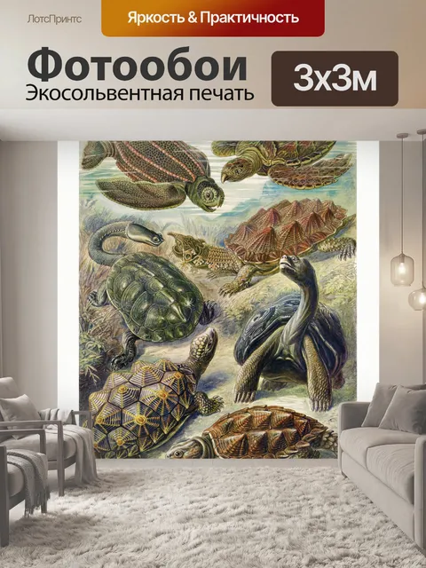 Фотообои Черепаха Арт Винтаж