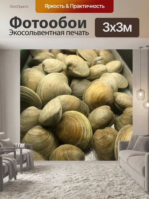 Фотообои Моллюски