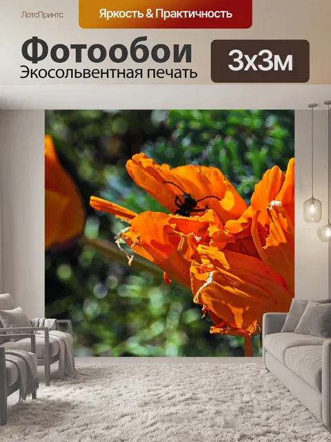 Фотообои Ошибка в цветок мака