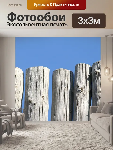 Фотообои Полюса