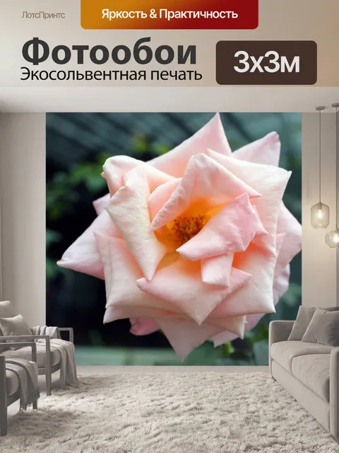 Фотообои Розовые розы цветы исчезли