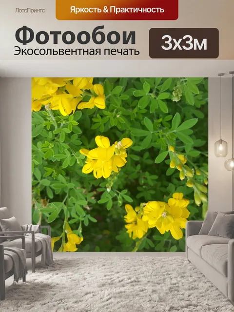 Фотообои Довольно желтые цветы