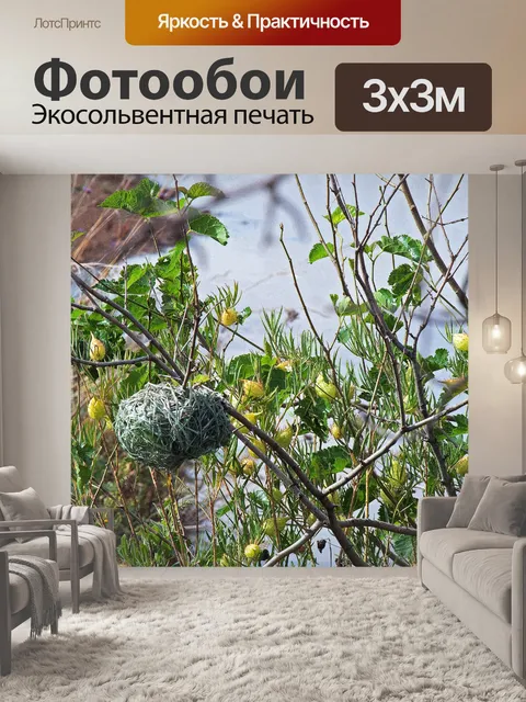 Фотообои гнездо ткача