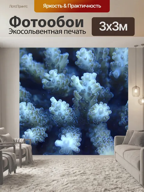 Фотообои Коралл