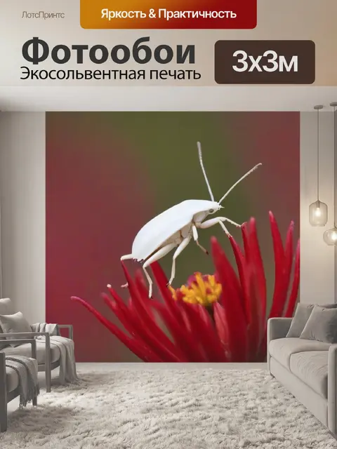 Фотообои большой белый на красном цветке