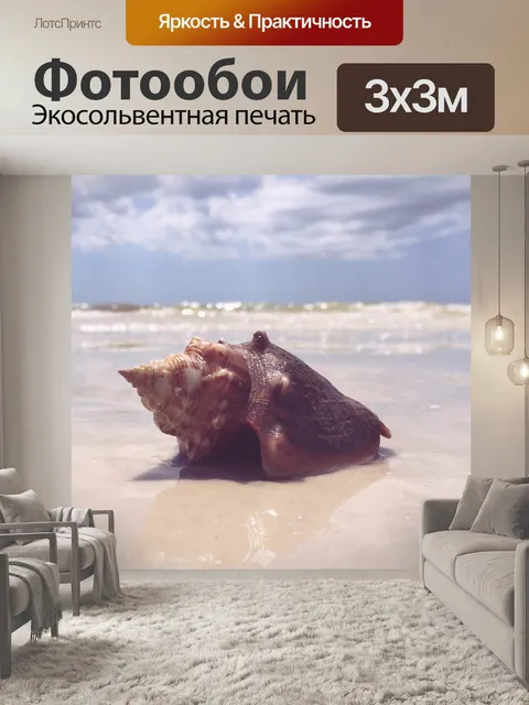 Фотообои Морская ракушка