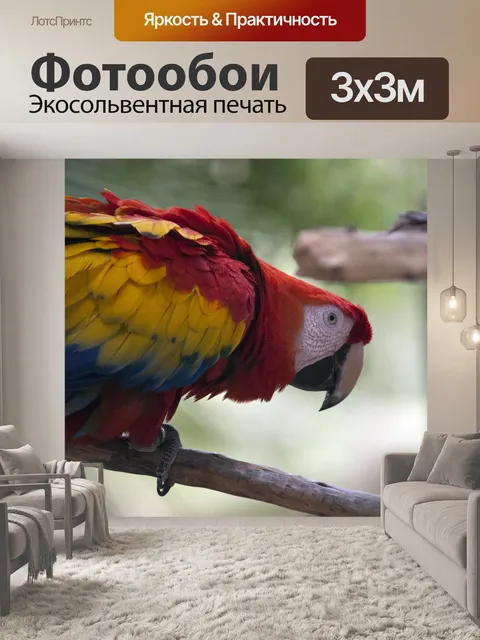 Фотообои Попугай ара