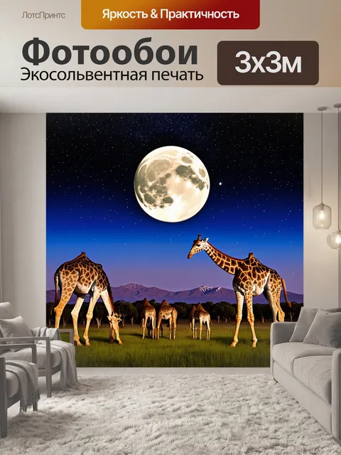 Фотообои в течение ночи в саванне, полная луна освещает стадо жирафов, которые мирно жуют свежую траву