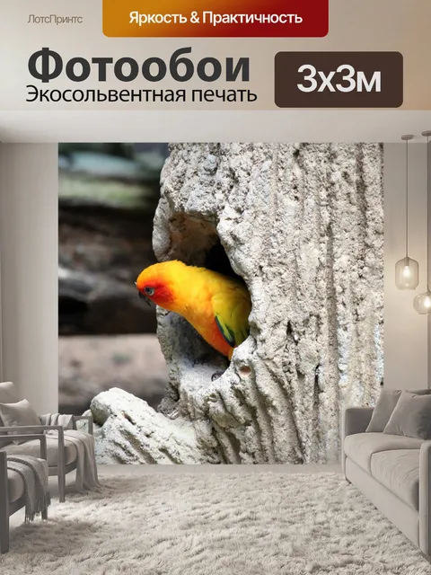 Фотообои Остальные желтые попугаи на гнезде