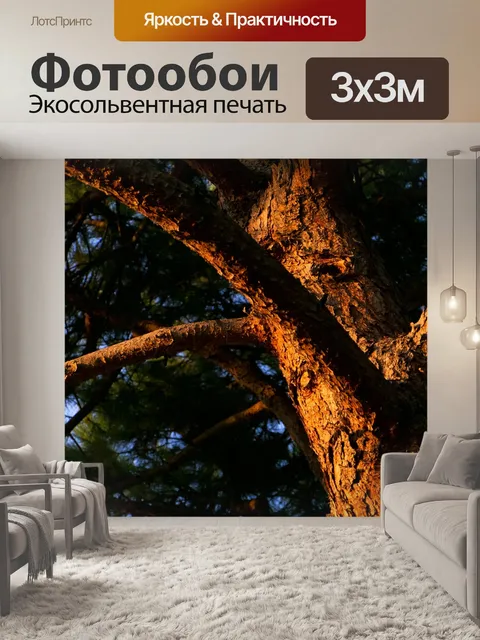 Фотообои Кора