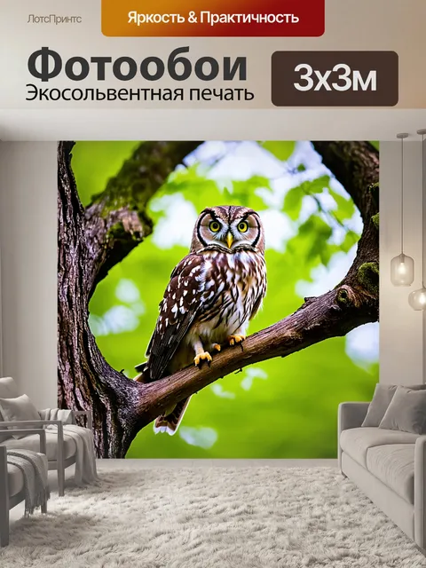 Фотообои мудрая сова на ветке старого дерева