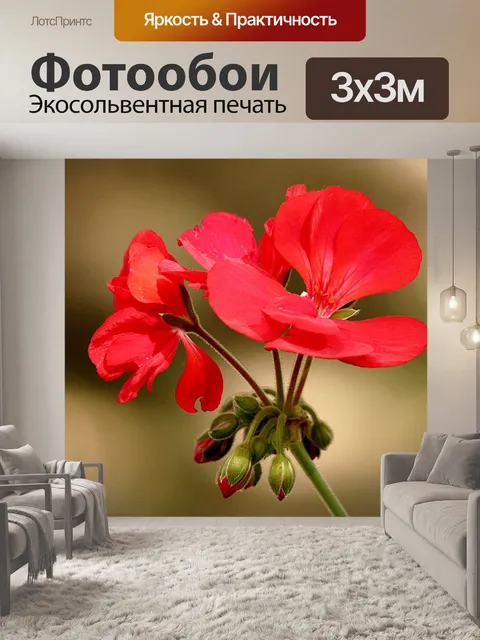 Фотообои Красный цвет герани