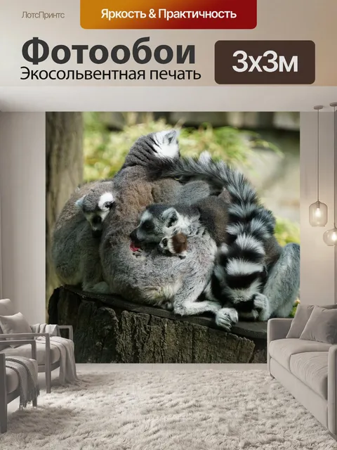 Фотообои Катты