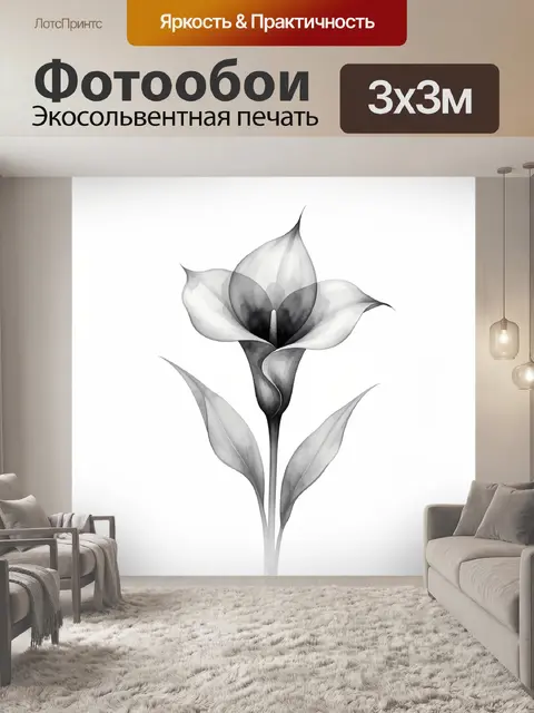 Фотообои Черно-белый цветок каллы