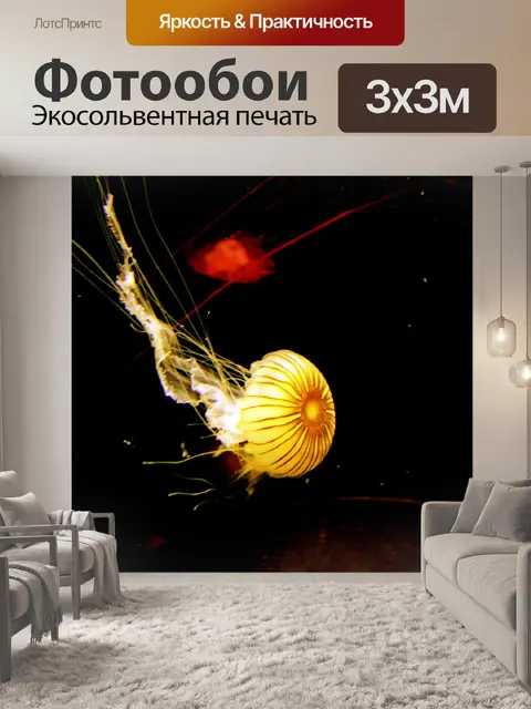 Фотообои Jelly Fish