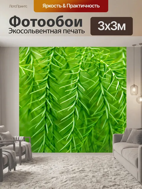 Фотообои Иглы зеленого дерева