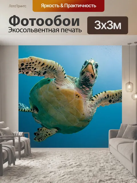 Фотообои Turtle