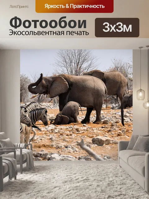 Фотообои Слон