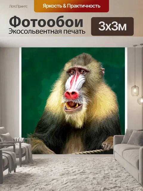 Фотообои Мандрил Визит Зоопарк Афиша