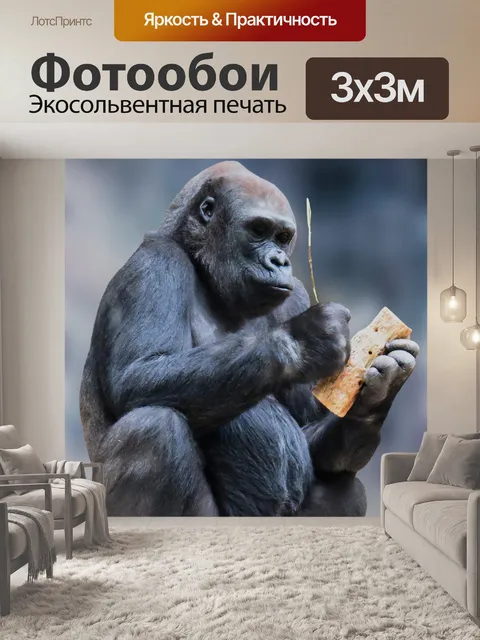 Фотообои Обезьяна