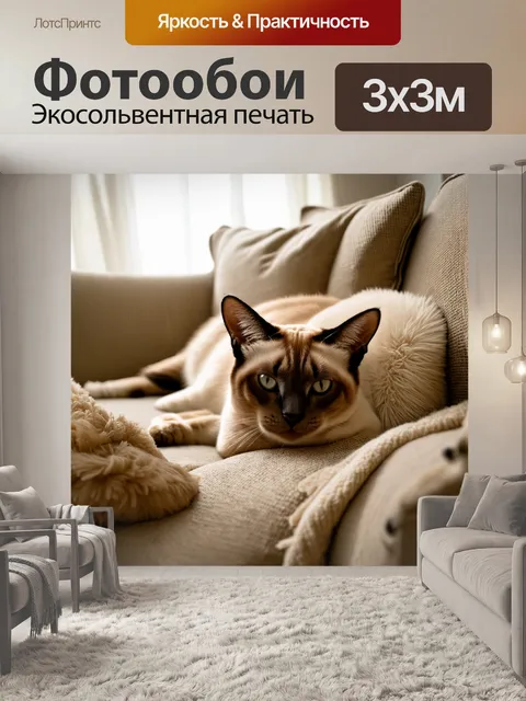 Фотообои сиамский кот, лежащий на старом диване, окруженный мягкими подушками и уютным пледом