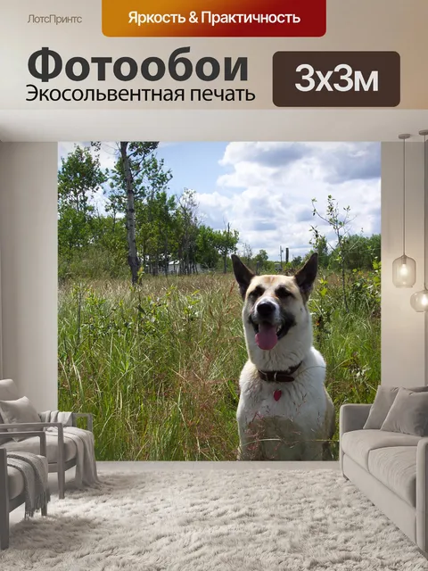 Фотообои Страна собак