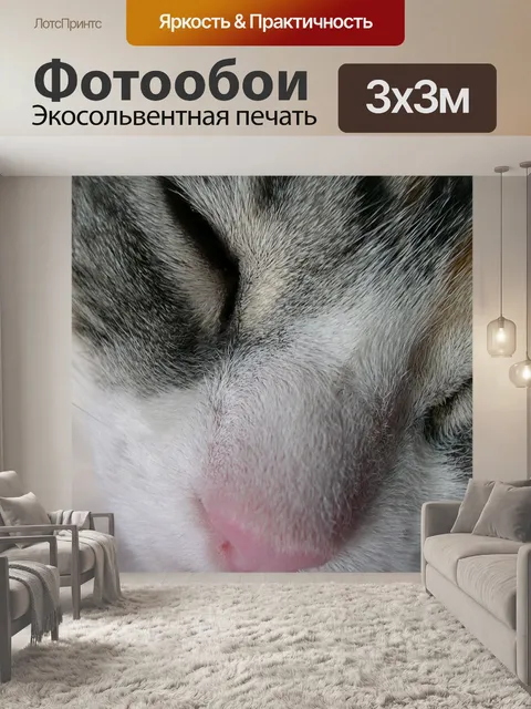 Фотообои Кот