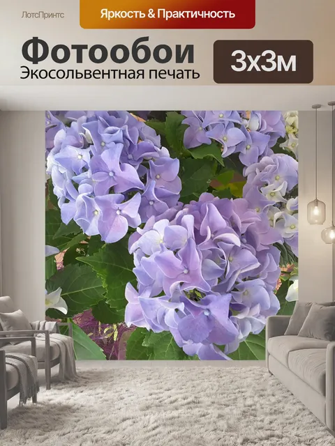 Фотообои Фиолетовые цветы 1