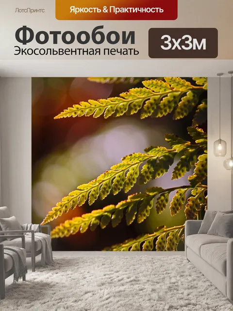 Фотообои свет на зеленых листьях папоротника