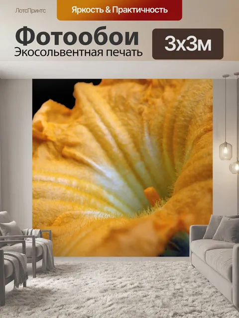 Фотообои Тыква цветок