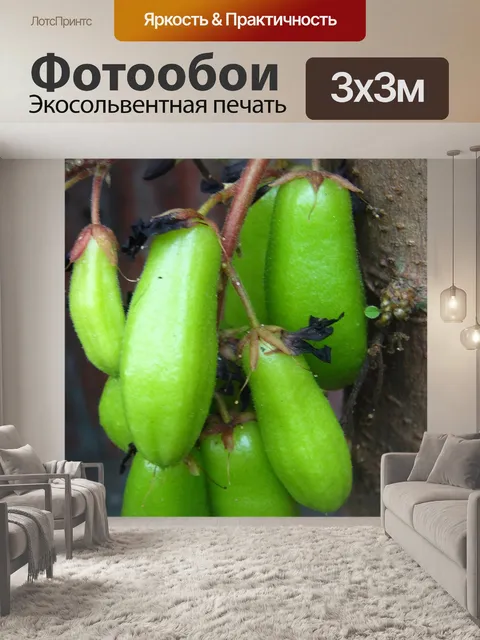 Фотообои зеленые плоды