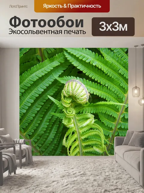 Фотообои Папоротник