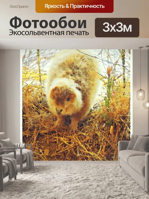 Фотообои бобр