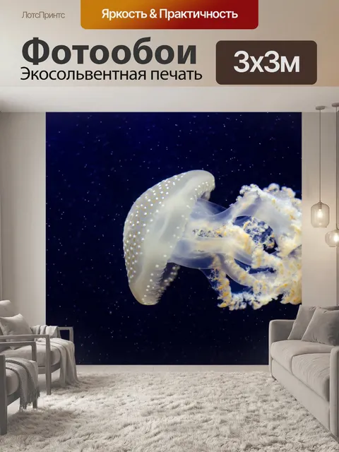 Фотообои Медуза Phyllorhiza рипсШа