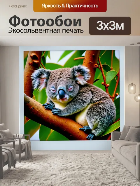 Фотообои животные в стиле полароидная фотография, мирные коалы, крепко спящие на ветвях эвкалипта