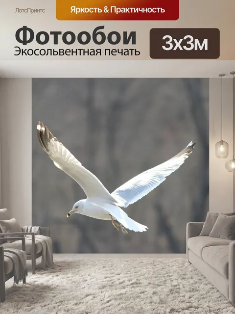 Фотообои Чайка Посадка