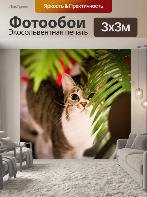 Фотообои Кот
