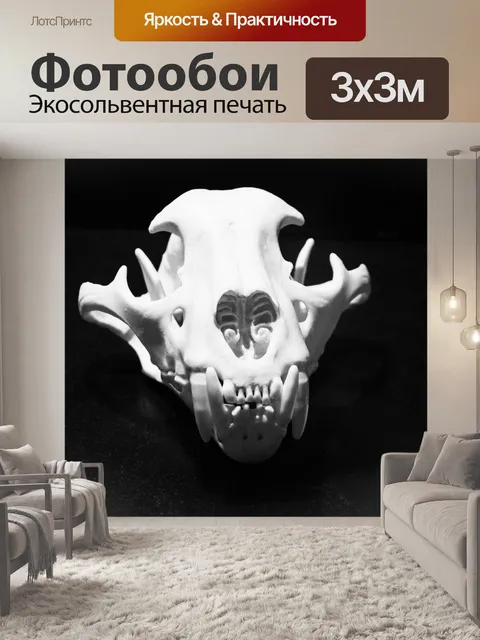 Фотообои Череп ягуара