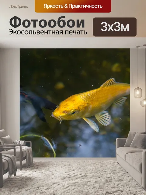 Фотообои Koi