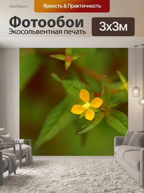 Фотообои Желтые цветы